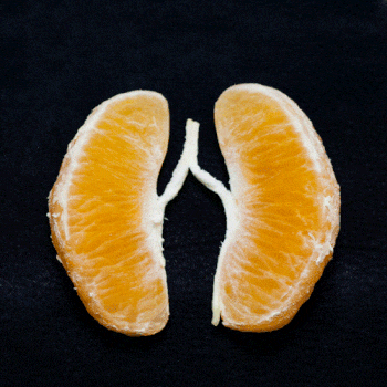 How To Purify Your Lungs Naturally.  Mr Smoker Please Take Note How To Purify Your Lungs Naturally.  Mr Smoker Please Take Note